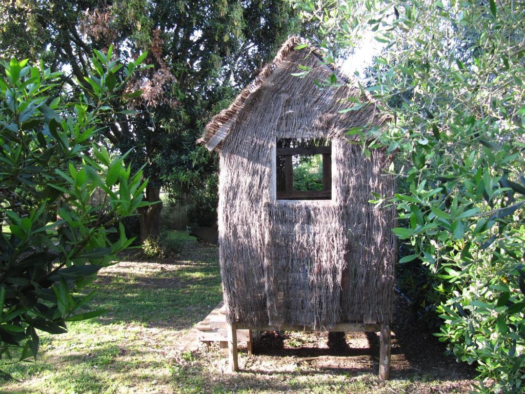 Agriturismo Lillastro Braccagni Exterior photo